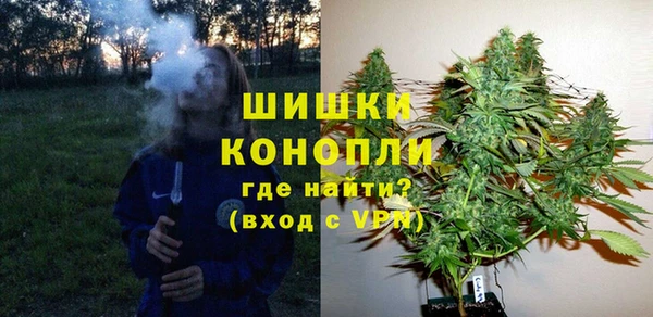 ГАЛЛЮЦИНОГЕННЫЕ ГРИБЫ Богородск