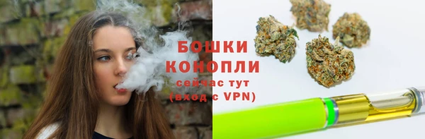 ALPHA PVP Богданович