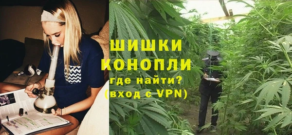 ГАЛЛЮЦИНОГЕННЫЕ ГРИБЫ Богородск