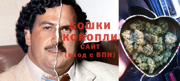 ГАЛЛЮЦИНОГЕННЫЕ ГРИБЫ Богородск