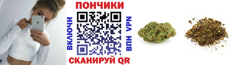 Бошки марихуана ГИДРОПОН Козловка